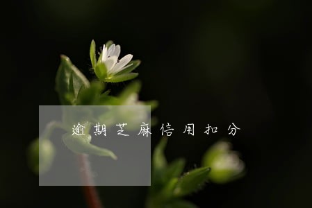 逾期芝麻信用扣分 逾期芝麻信用扣分