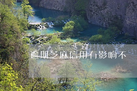 逾期芝麻信用有影响不 逾期芝麻信用有影响不