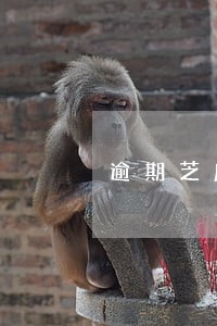 逾期芝麻分一下减少 逾期芝麻分一下减少