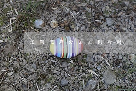 逾期芝麻分会立刻降吗 逾期芝麻分会立刻降吗