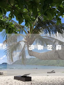 逾期芝麻分低 逾期芝麻分低