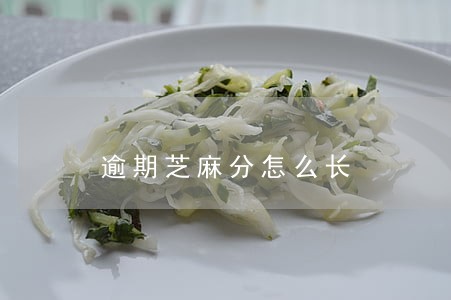 逾期芝麻分怎么长 逾期芝麻分怎么长