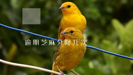 逾期芝麻分降几次 逾期芝麻分降几次