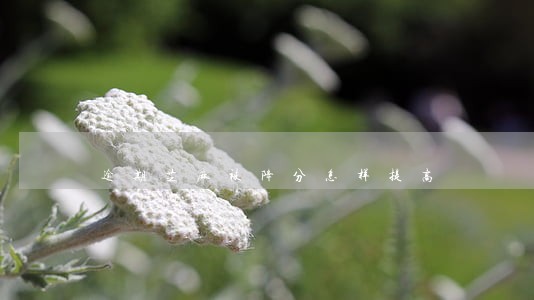 逾期芝麻被降分怎样提高 逾期芝麻被降分怎样提高