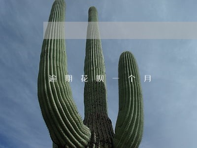 逾期花呗一个月 逾期花呗一个月