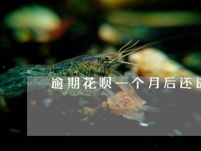 逾期花呗一个月后还进去被冻结了 逾期花呗一个月后还进去被冻结了