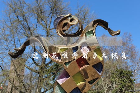 逾期花呗停用多久恢复 逾期花呗停用多久恢复