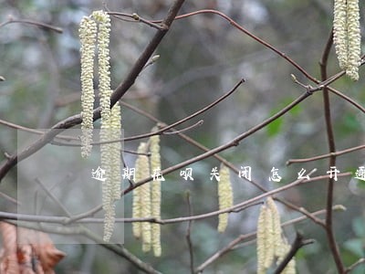 逾期花呗关闭怎么开通
