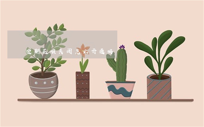 逾期花呗关闭怎么开通吗 逾期花呗关闭怎么开通吗