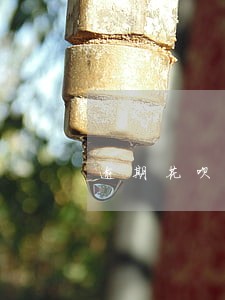 逾期花呗冻结怎么还 逾期花呗冻结怎么还