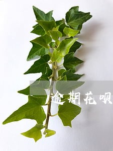 逾期花呗十天会打电话吗 逾期花呗十天会打电话吗