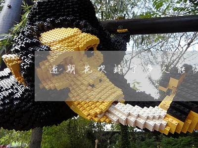 逾期花呗封了多久能恢复 逾期花呗封了多久能恢复