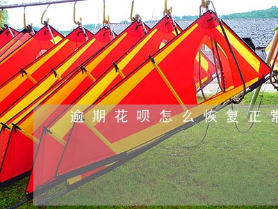逾期花呗怎么恢复正常 逾期花呗怎么恢复正常