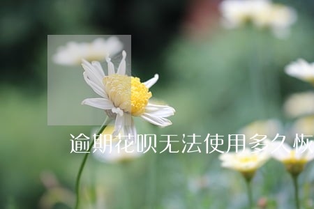 逾期花呗无法使用多久恢复 逾期花呗无法使用多久恢复