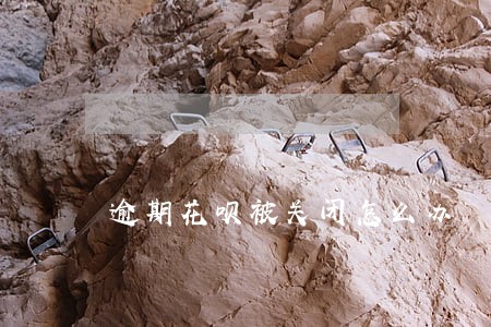 逾期花呗被关闭怎么办 逾期花呗被关闭怎么办