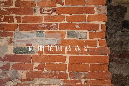 逾期花呗被冻结了 逾期花呗被冻结了