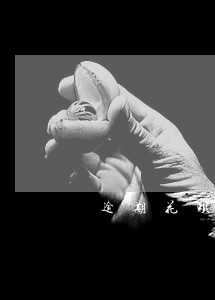 逾期花呗账单图 逾期花呗账单图