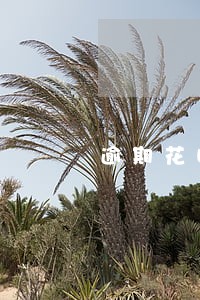 逾期花呗还完了怎么还有账单逾期 逾期花呗还完了怎么还有账单逾期