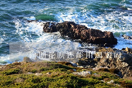 逾期花呗还能用淘宝吗 逾期花呗还能用淘宝吗