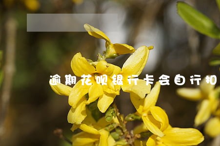逾期花呗银行卡会自行扣除吗 逾期花呗银行卡会自行扣除吗
