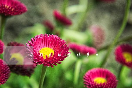 逾期花被冻结多久 逾期花被冻结多久