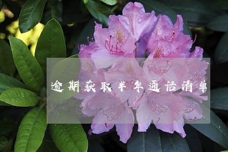 逾期获取半年通话清单 逾期获取半年通话清单