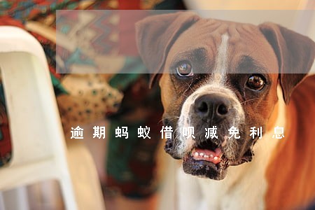 逾期蚂蚁借呗减免利息 逾期蚂蚁借呗减免利息