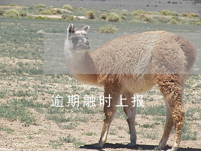 逾期融时上报 逾期融时上报