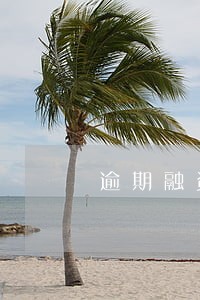逾期融资租赁一天影响征信吗 逾期融资租赁一天影响征信吗