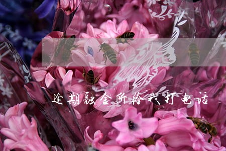 逾期融金所给我打电话 逾期融金所给我打电话