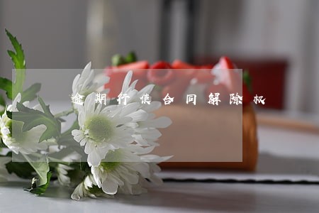 逾期行使合同解除权