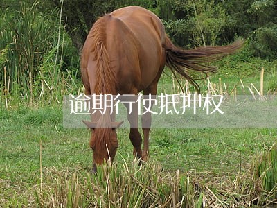 逾期行使抵押权 逾期行使抵押权