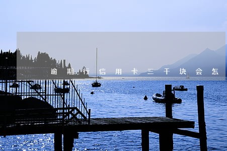 逾期行信用卡三千块会怎么样