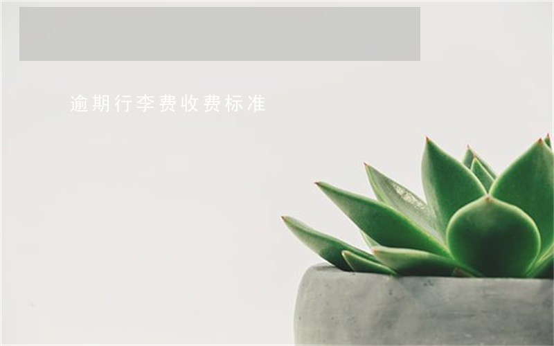 逾期行李费收费标准 逾期行李费收费标准