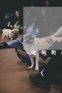 逾期街道收到协查函 逾期街道收到协查函