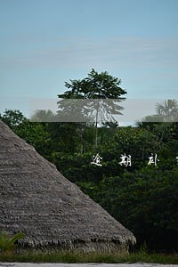 逾期补交保险 逾期补交保险