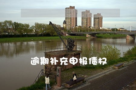 逾期补充申报债权