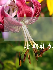 逾期补办出生证明的程序
