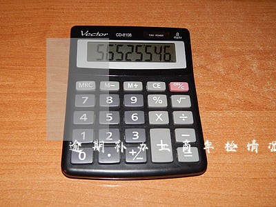 逾期补办工商年检情况说明 逾期补办工商年检情况说明