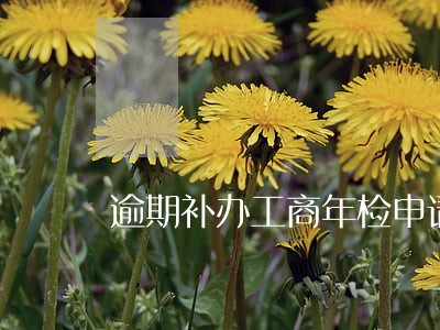 逾期补办工商年检申请书