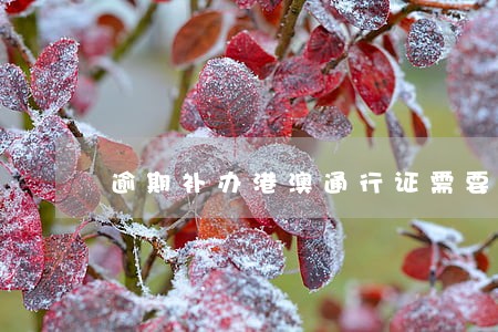 逾期补办港澳通行证需要多少时间 逾期补办港澳通行证需要多少时间