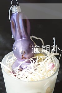 逾期补办税务登记餐饮许可证 逾期补办税务登记餐饮许可证
