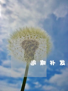逾期补发票情况说明 逾期补发票情况说明