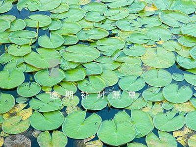 逾期补对账单 逾期补对账单