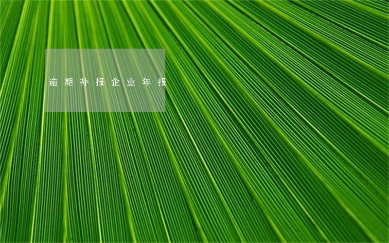 逾期补报企业年报