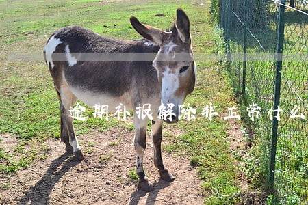 逾期补报解除非正常什么意思 逾期补报解除非正常什么意思