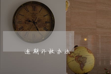 逾期补救办法 逾期补救办法