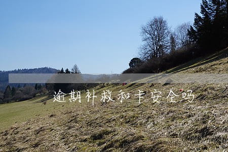 逾期补救和卡安全吗 逾期补救和卡安全吗