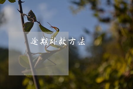 逾期补救方法 逾期补救方法