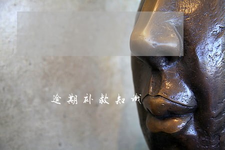 逾期补救知识 逾期补救知识